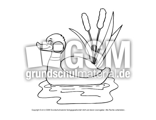 Ausmalbilder-Stockente 7.pdf